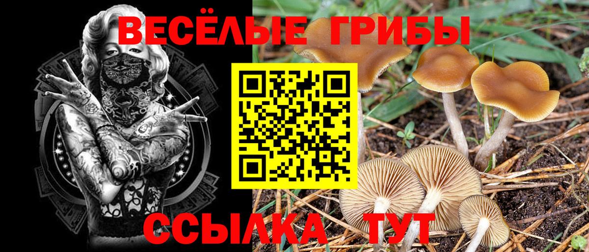 Галлюциногенные грибы Psilocybe  Галлюциногенные грибы мухоморы  Бузулук  Вход с VPN 