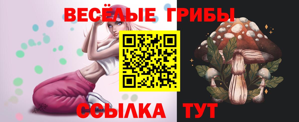 Галлюциногенные грибы Psilocybe Бузулук